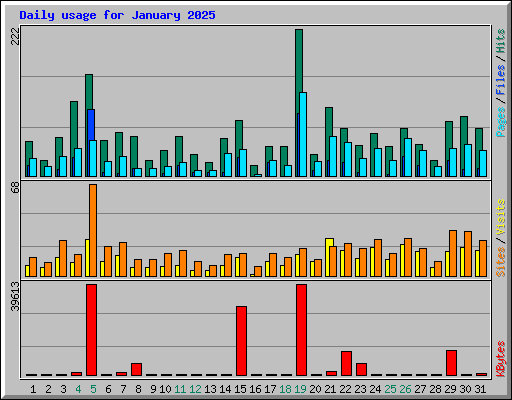 Daily usage for January 2025