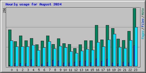 Hourly usage for August 2024