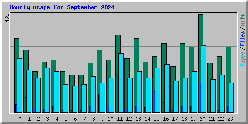 Hourly usage for September 2024