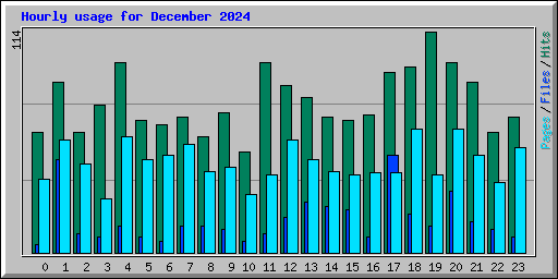 Hourly usage for December 2024