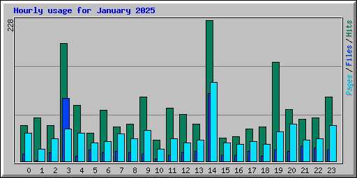Hourly usage for January 2025
