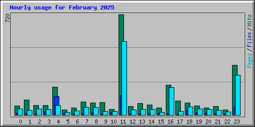 Hourly usage for February 2025