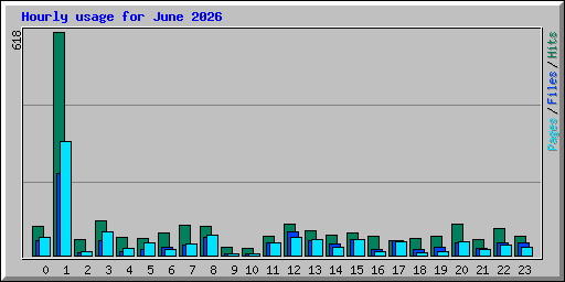 Hourly usage for June 2026