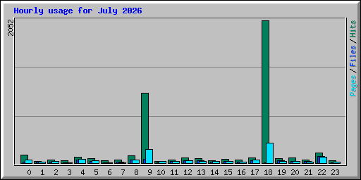 Hourly usage for July 2026