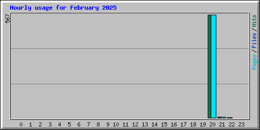 Hourly usage for February 2025