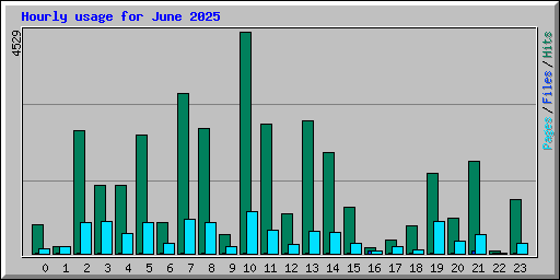 Hourly usage for June 2025