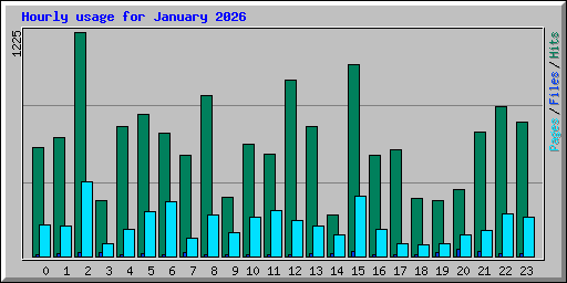 Hourly usage for January 2026