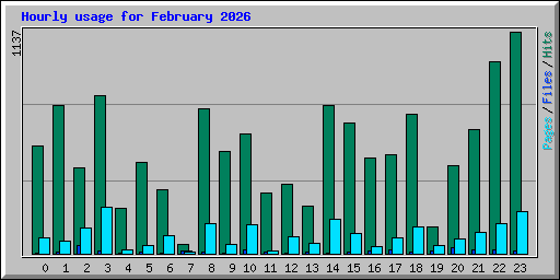 Hourly usage for February 2026