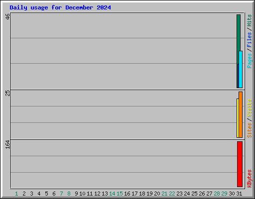Daily usage for December 2024