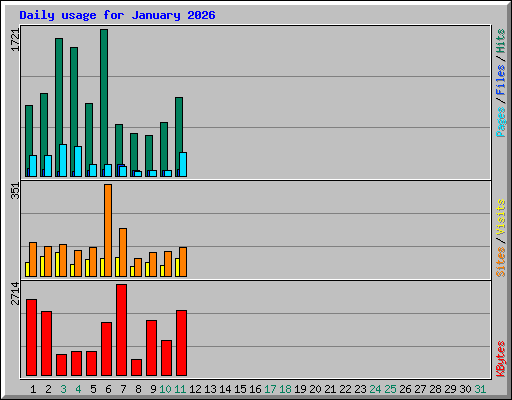Daily usage for January 2026