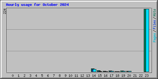 Hourly usage for October 2024
