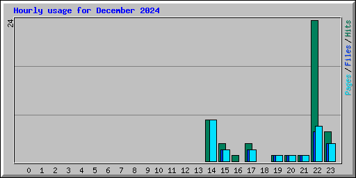 Hourly usage for December 2024