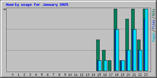 Hourly usage for January 2025