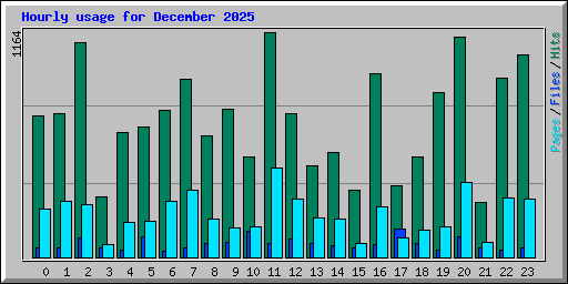 Hourly usage for December 2025