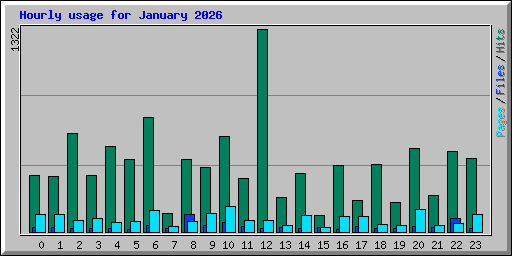 Hourly usage for January 2026