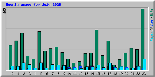 Hourly usage for July 2026