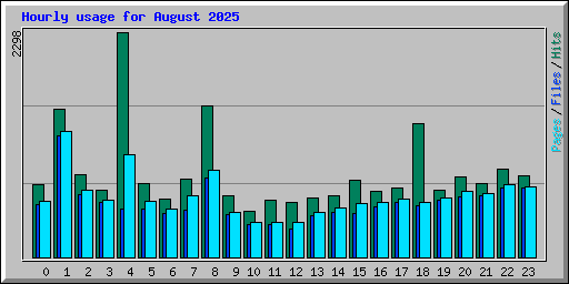 Hourly usage for August 2025
