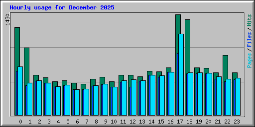 Hourly usage for December 2025