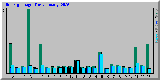 Hourly usage for January 2026