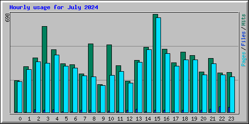 Hourly usage for July 2024