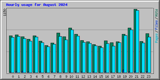 Hourly usage for August 2024