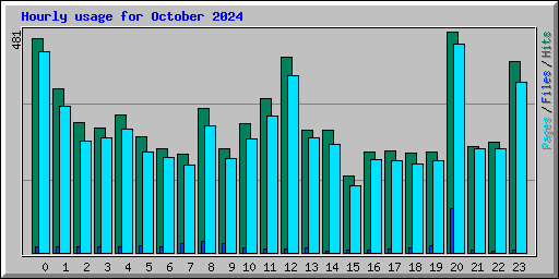 Hourly usage for October 2024