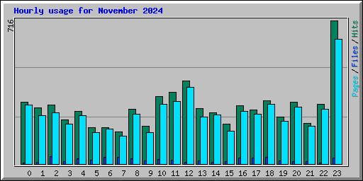 Hourly usage for November 2024