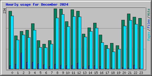 Hourly usage for December 2024