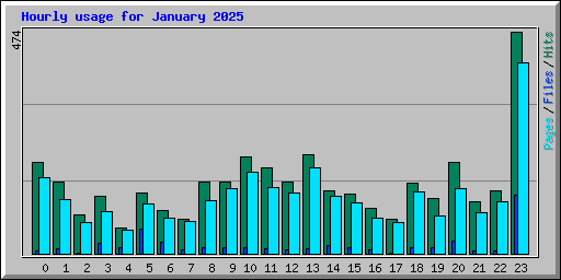 Hourly usage for January 2025