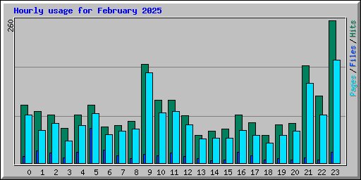 Hourly usage for February 2025