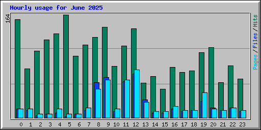 Hourly usage for June 2025