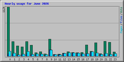 Hourly usage for June 2026
