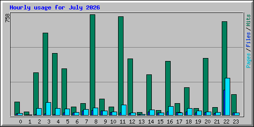Hourly usage for July 2026