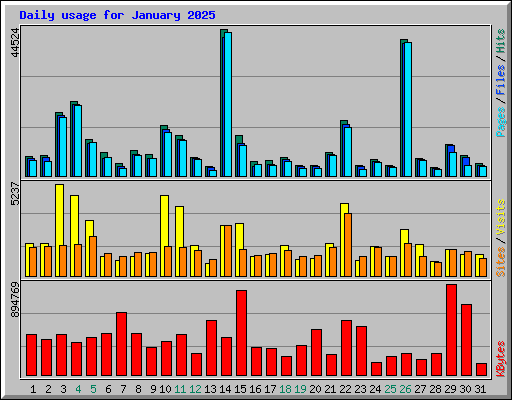 Daily usage for January 2025