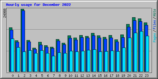Hourly usage for December 2022
