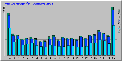 Hourly usage for January 2023