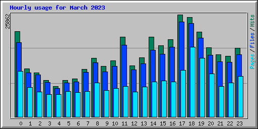 Hourly usage for March 2023