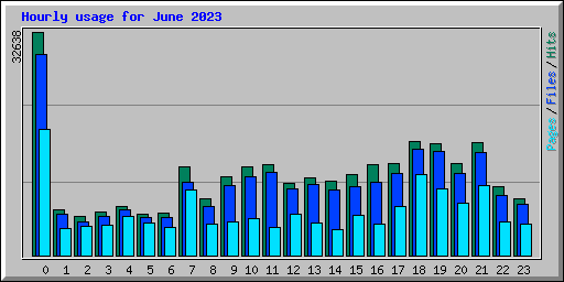 Hourly usage for June 2023