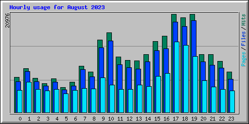 Hourly usage for August 2023