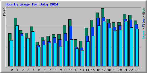 Hourly usage for July 2024