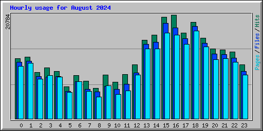 Hourly usage for August 2024