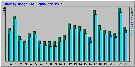 Hourly usage for September 2024
