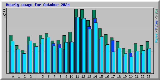 Hourly usage for October 2024