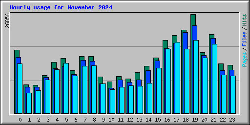 Hourly usage for November 2024