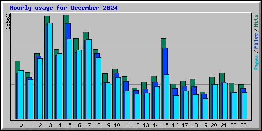 Hourly usage for December 2024