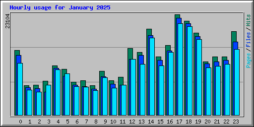 Hourly usage for January 2025