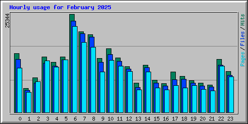 Hourly usage for February 2025