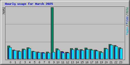 Hourly usage for March 2025