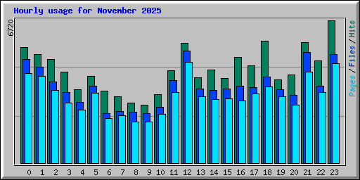 Hourly usage for November 2025