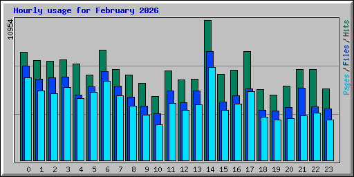 Hourly usage for February 2026